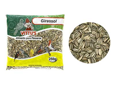 Vittus